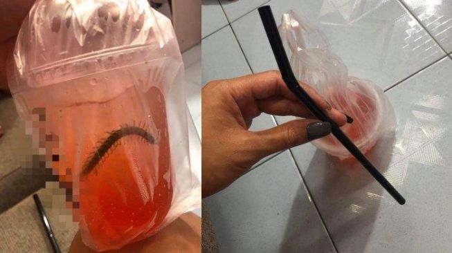 Seorang warga Thaiand temukan lipan di dalam minumannya.[Facebook/Lalita Pollachom]
