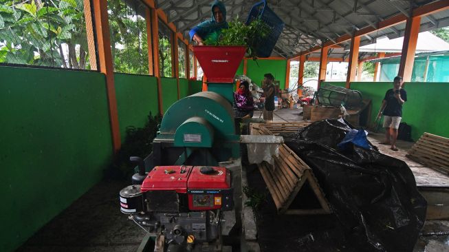 Petugas memasukkan sampah daun dan rerumputan ke dalam mesin pencacah untuk diproses menjadi pupuk kompos di TPS 3R dan Bank Sampah Avosalae di Kelurahan Silae, Palu, Sulawesi Tengah, Jumat (26/6/2020). [ANTARA FOTO/Mohamad Hamzah]