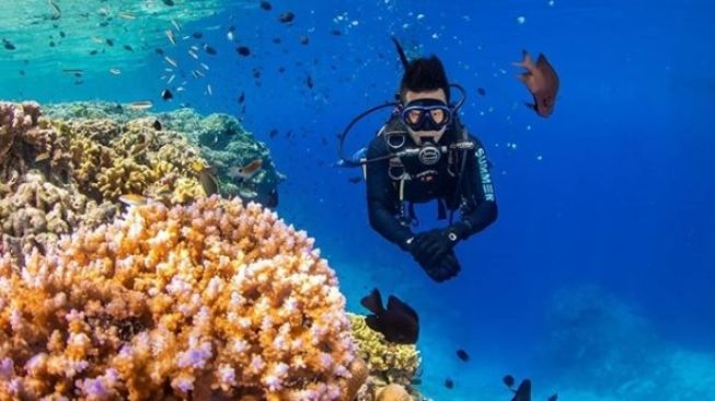 Fakta Taman Nasional Bunaken, Salah Satu Destinasi Wisata Laut Terbaik Dunia