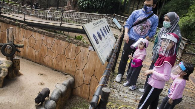 Pengunjung melihat koleksi beruang di Kebun Binatang Bandung (Bandung Zoological Garden), Bandung, Jawa Barat, Sabtu (27/6/2020).  [ANTARA FOTO/M Agung Rajasa]
