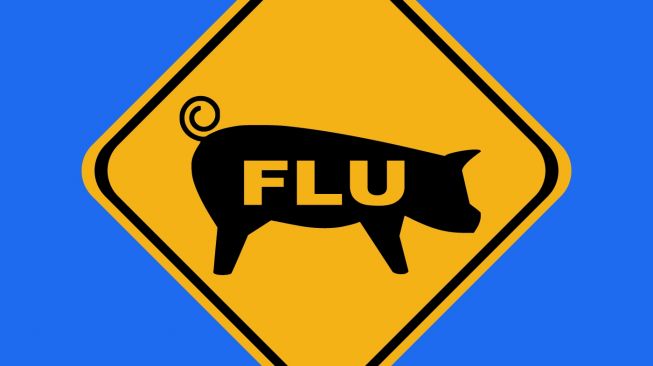 Ilustrasi flu babi. (Shutterstock)