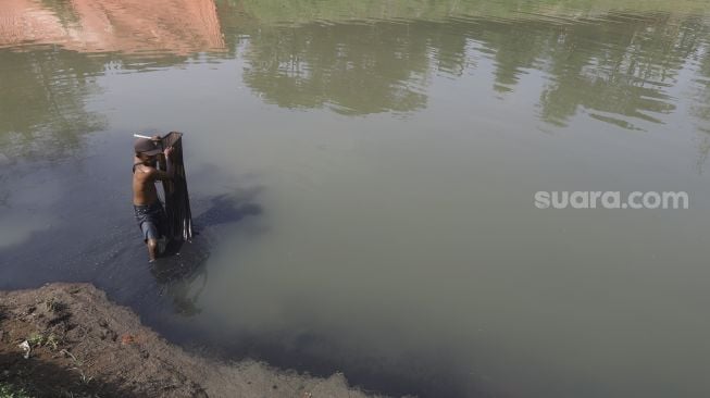 Berburu Cacing Sutra di Banjir Kanal Timur