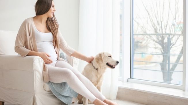 Ilustrasi anjing bisa mendeteksi kehamilan manusia. (Shutterstock)