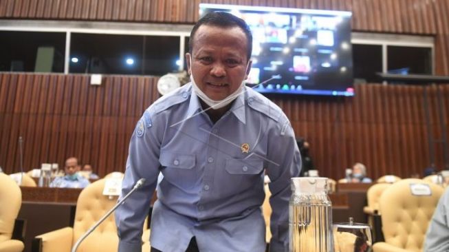 Menteri Edhy di serang ‘mantan’ soal lobster, DPR: Dia belum rela