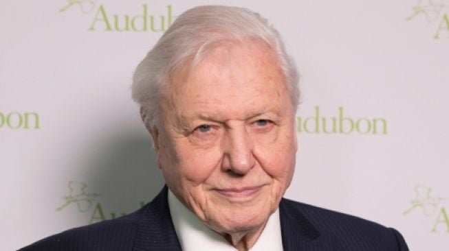 Pakar konservasi alam dan penyiar legendaris Inggris, David Attenborough. (Shuttestock)