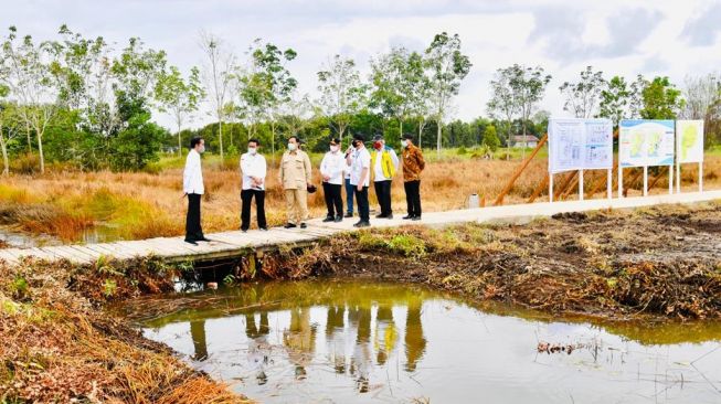 Kunjungi Kabupaten Kapuas Kalteng, Jokowi Tinjau Lumbung Pangan Baru