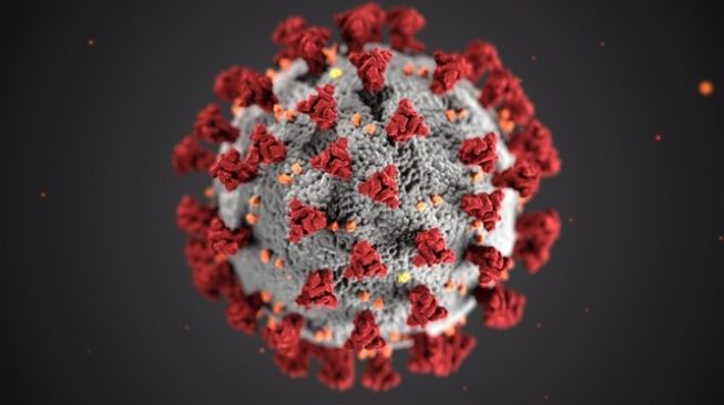 Ilustrasi Virus Corona Covid-19 (Unsplash/CDC)