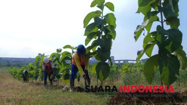 SIG Terapkan Teknik Reklamasi Sistem Baru Ramah Lingkungan
