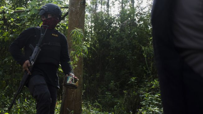 Satuan Narkoba Polres Cimahi membawa tumbuhan ganja saat penggerebekan ladang ganja di kawasan hutan Kabupaten Bandung, Jawa Barat, Minggu (12/7/2020).  [ANTARA FOTO/Novrian Arbi]