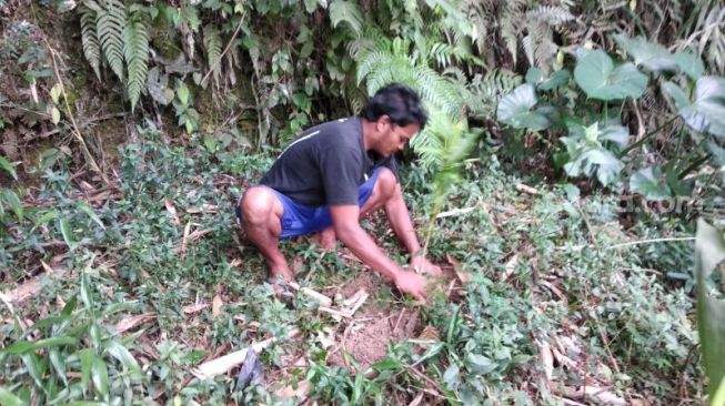 Warga Dusun Wonorejo, Desa Hargobinangun, Kecamatan Pakem, Kabupaten Sleman menanam tumbuhan konservasi berupa beringin dan gayam di bantaran Sungai Boyong, Minggu (12/7/2020). - (SuaraJogja.id/Muhammad Ilham Baktora)