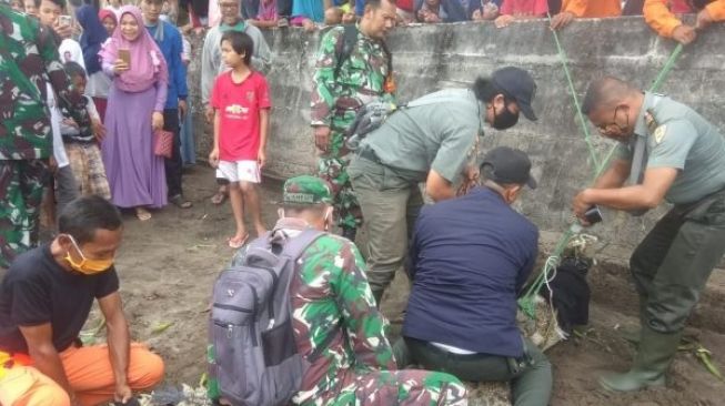 Heboh! Warga Serang Dikejutkan Kemunculan Buaya Muara, Banyak Luka Jeratan