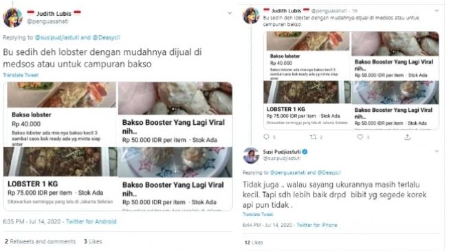 Susi Pudjiastuti Tanggapi Bakso Lobster yang Banyak Dijual di Medsos (Twitter)