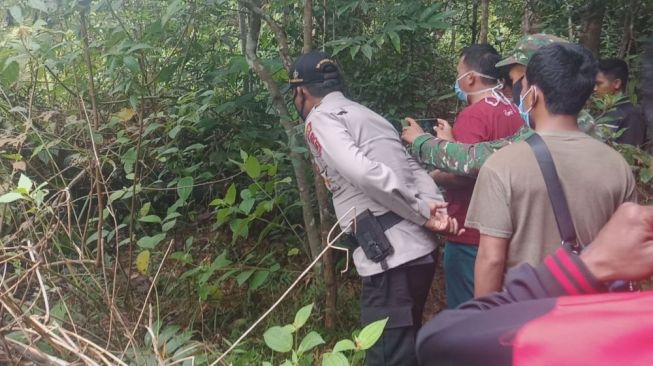 Ngeri! Warga Suku Anak Dalam Jambi Tewas Dililit Ular Saat Berburu