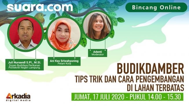 Cara Mudah Mengembangkan Budikdamber di Tengah Lahan Terbatas