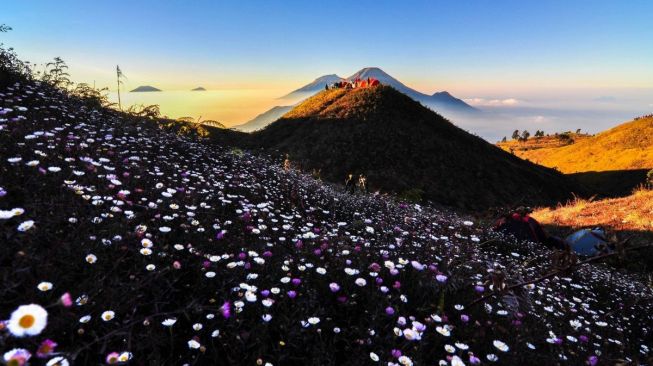 Pesona 10 Tempat Rekreasi di Jawa Tengah yang Bikin Ternganga