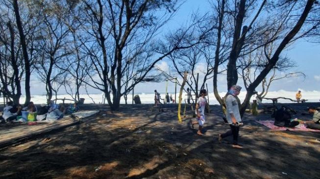 Suasana Terkini Pantai Baru dan Goa Cemara Usai Dibuka Kembali