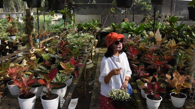 Pembeli melihat ragam tanaman hias di sentra penjualan tanaman di kawasan Ragunan, Jakarta, Minggu (19/7/2020).. [ANTARA FOTO/Indrianto Eko Suwarso]