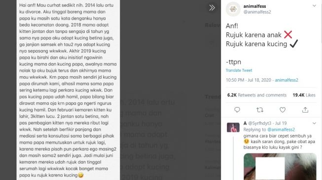 Curhatan warganet pasangan suami istri rujuk karena kucing. [Twitter]