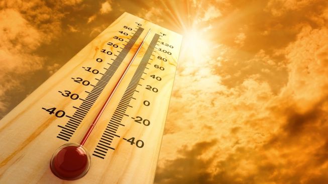 Ngeri... Tercatat Suhu Terpanas di Bumi, Capai 54 Derajat Celcius