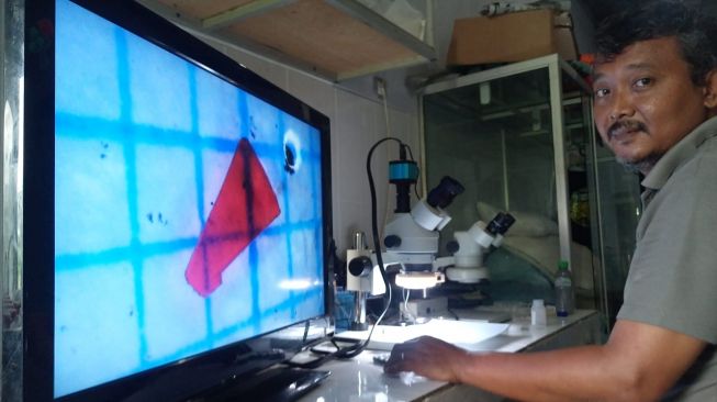 Peneliti Ecoton, Andreas Agus Kristanto Nugroho, saat tengah meneliti partikel mikroplastik. [Dok. pribadi]