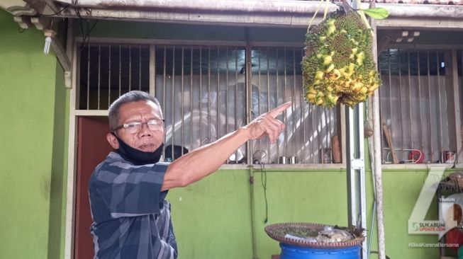 Judin Basyari menunjukkan buah nangka unik miliknya. [Foto: Sukabumiupdate.com]