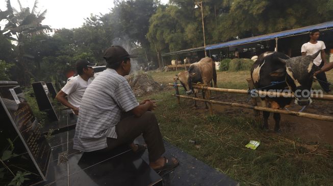 Pedagang memandikan sapi kurban di lapak hewan kurban di area Pemakaman Tionghoa, Tanah Kusir, Jakarta, Kamis (23/7/2020). [Suara.com/Angga Budhiyanto]