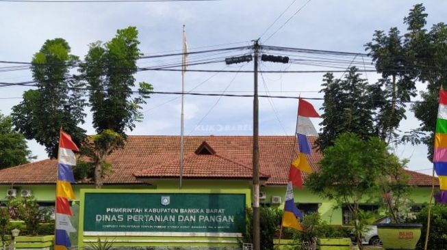 Permintaan Hewan Kurban Menurun