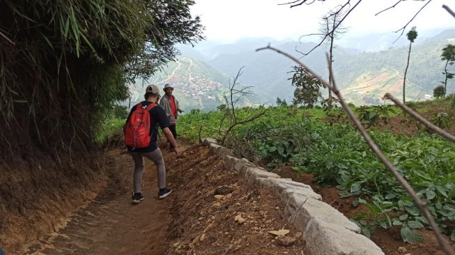 Temuan susunan batu mirip tangga di bukit Sipandu Dieng menggegerkan warga. (dok Aryadi Darwanto)