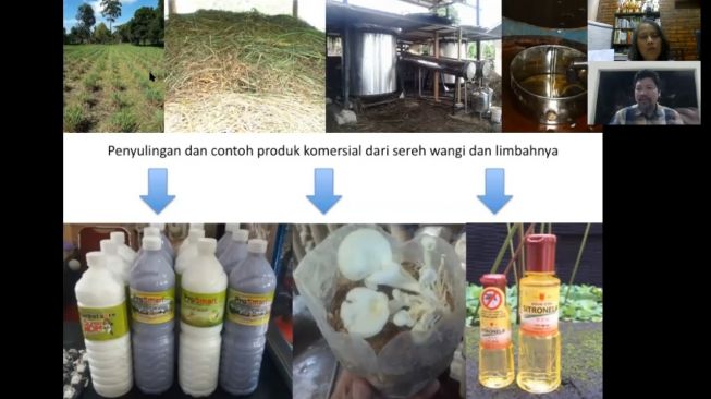 Gambar dalam presentasi contoh langkah-langkah revitalisasi lahan bekas tambang di Indonesia. [Dok. Irdika Mansur / captured]