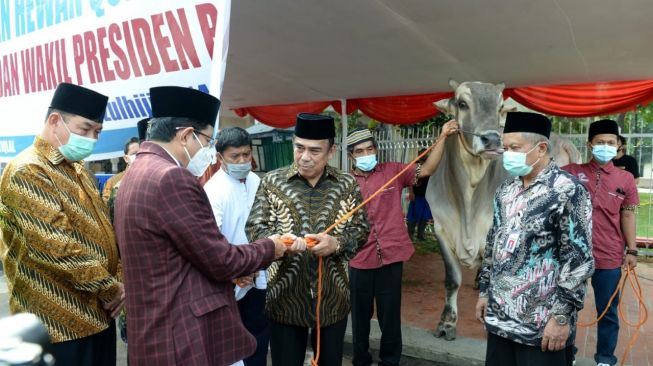 Jokowi Serahkan Sapi Kurban Seberat 1 Ton ke Masjid Istiqlal