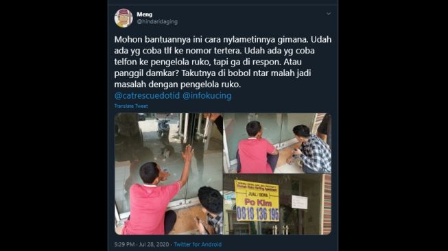 Drama Penyelamatan Kucing Terjebak Selama Sebulan, Kesabaran Warganet Diuji