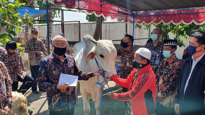 Sehari Sebelum Iduladha, Pemkab Bantul Bagikan 33 Kambing ke Warga Miskin