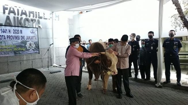 Serahkan 2 Hewan Kurban, Ini Beda Sapi dari Anies dengan Riza Patria