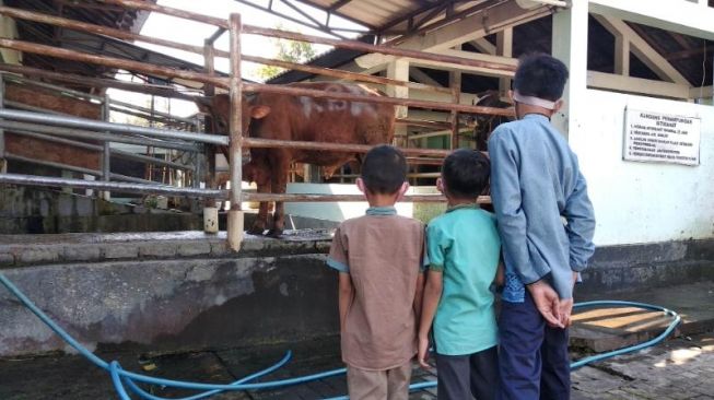 Tak Boleh Potong Hewan di Rumah, Danantoro Rasakan Idul Adha Kurang Greget