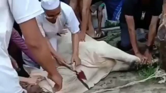 Video Sempat Viral, Penyebab Ustaz Meninggal saat Potong Kurban Terungkap