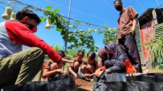 Hindari Suntuk Usai Sekolah Daring, Ardian Ajak Siswanya Bercocok Tanam