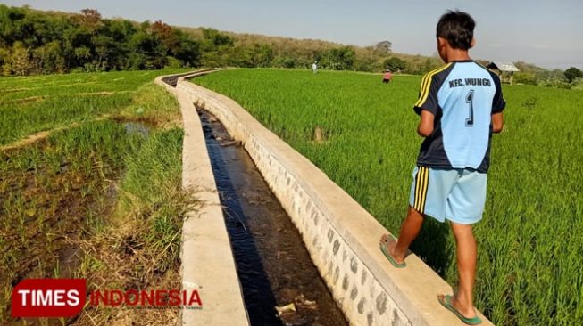 Wahyu Agus Nurtino, siswa kelas 6 SDN Brumbun, Kecamatan Wungu, Kabupaten Madiun, Jawa Timur, melewati saluran irigasi untuk mengikuti pembelajaran daring dengan menumpang HP temannya. [Foto: Timesindonesia.co.id]