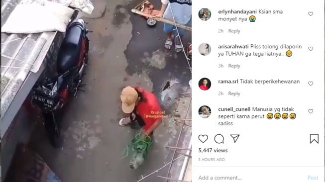 Pukul dan Tendang Peliharaannya, Tukang Topeng Monyet Dikecam