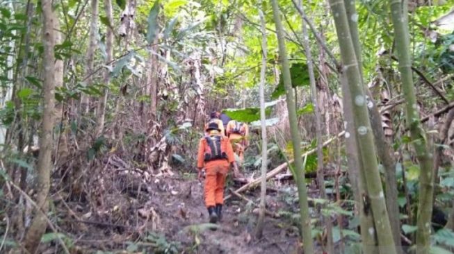 Seminggu Hilang di Hutan, Tim SAR Hentikan Pencarian Dua Bocah di Mepanga