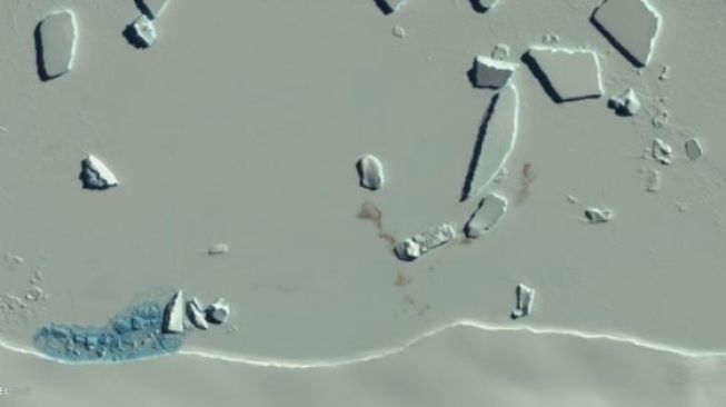 Kotoran penguin penampakan dari satelit. [British Antarctic Survey]