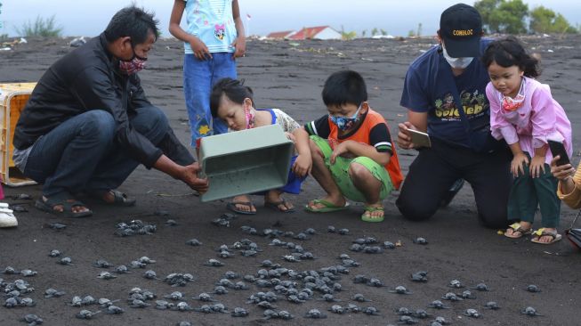 Petugas bersama pengunjung melepasliarkan tukik di Pantai Boom, Banyuwangi, Jawa Timur, Sabtu (8/8/2020). [ANTARA FOTO/Budi Candra Setya]