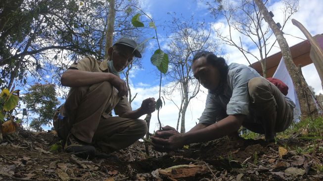 Petugas Taman Nasional Kerinci Seblat (TNKS) dan Anggota Komunitas Kerinci Trek Indonesia (kanan) menanam pohon di Pintu Rimba Pendakian Gunung Kerinci, Kerinci, Jambi, Senin (10/8/2020). [ANTARA FOTO/Wahdi Septiawan]