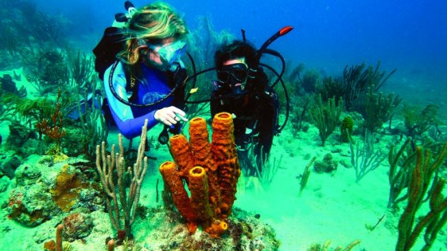 Pemburu Ikan Hilang saat Menyelam di Pantai Selatan Sukabumi