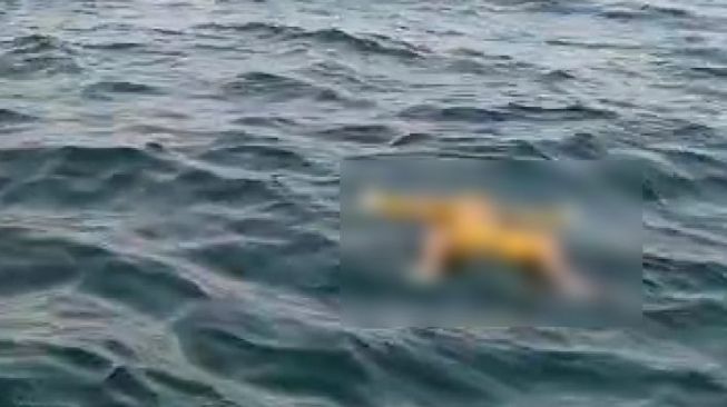 Sesosok mayat ditemukan mengambang di perairan Pantai Timang Gunungkidul, Senin (10/8/2020) pagi. - (SuaraJogja.id/HO-dok SAR)