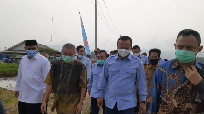 Santap Mentah Udang Vaname, Menteri KKP: Sudah Steril Dikasih Disinfektan