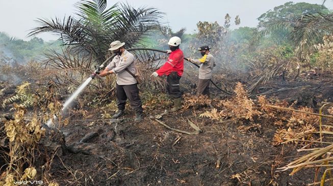 Pemerintah Harus Pertimbangkan Lanjutkan Moratorium Sawit