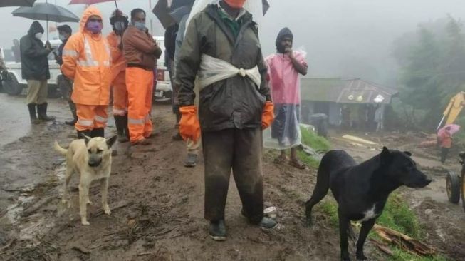 Dua ekor anjing tetap setia menunggu majikan di lokasi terjadinya peristiwa longsor di negara bagian Kerala, India Selatan. [Facebook via India Times]