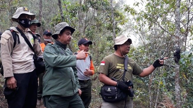 BBKSDA Jatim dan PROFAUNA Indonesia temukan jasad Lutung Jawa hanya tinggal potongan tangan. [Ist]