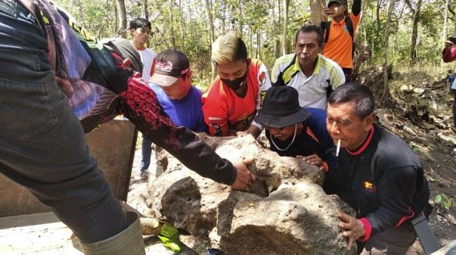 Petugas mengevakuasi batu berisi fosil tanaman dan tulang purba di Hutan Tritik, Kabupaten Nganjuk, Sabtu (15/8/2020). [Suara.com/Usman]