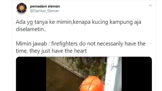 Seorang petugas pemadam kebakaran menyelamatkan kucing kampung di bawah jembatan. - (Twitter/@Damkar_Sleman)